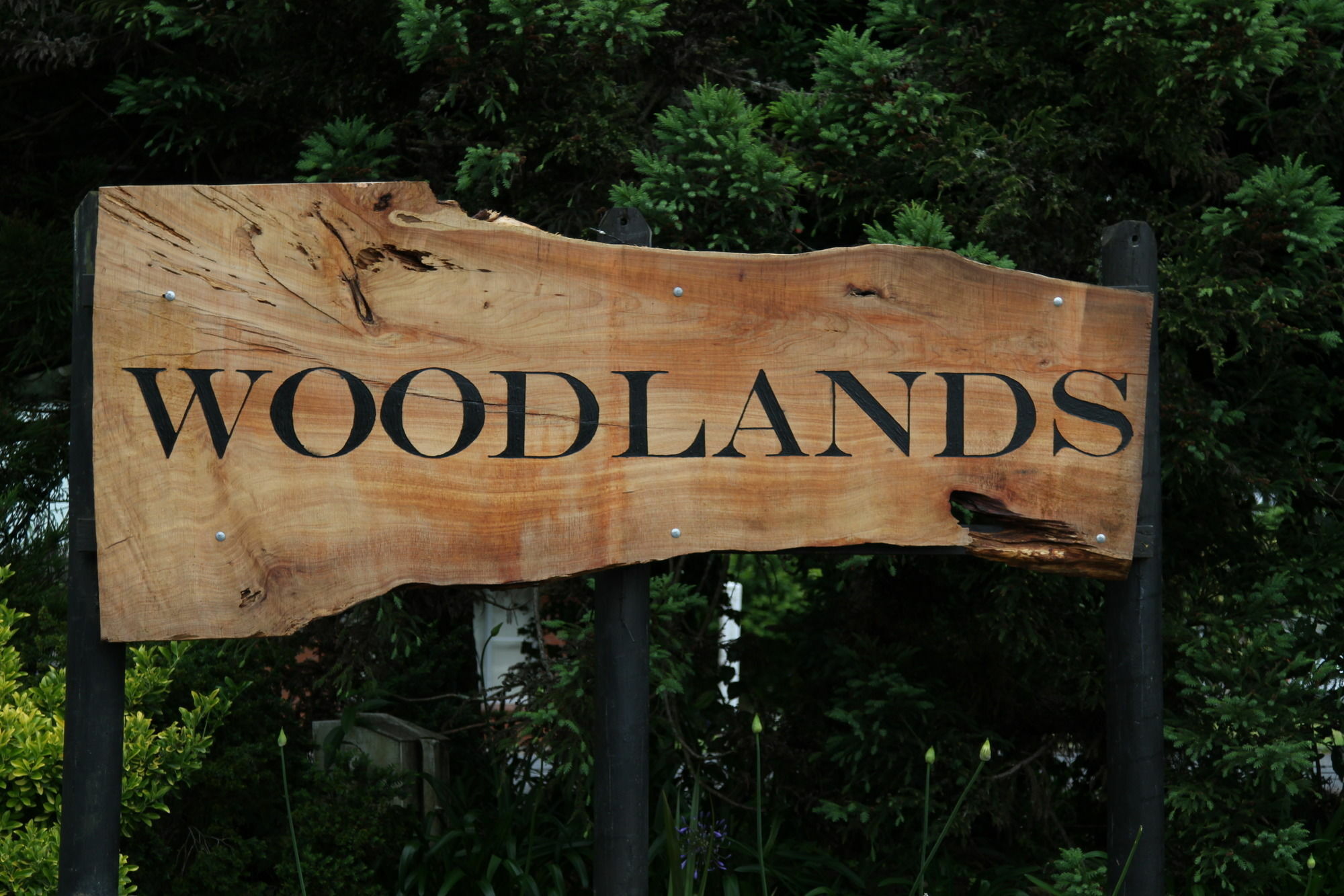 Woodlands Motel Kerikeri Exterior photo